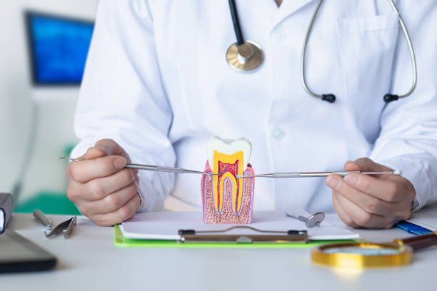 Best After-Hours Dental Trauma Care in Emeryville, CA